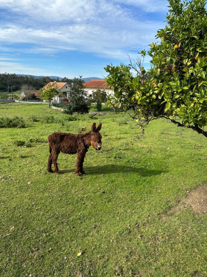 Apartament Quintinha Do Martins Reboreda Zewnętrze zdjęcie