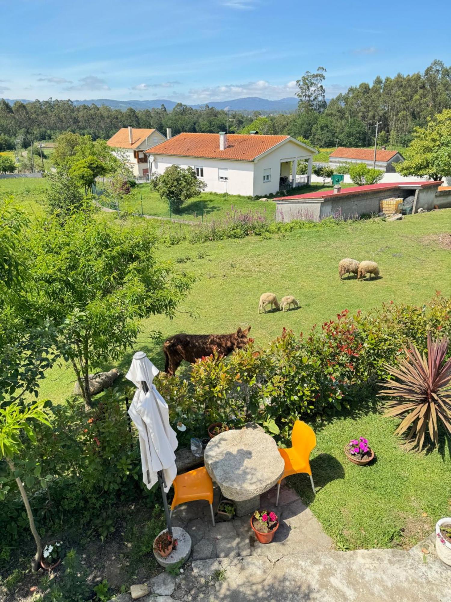 Apartament Quintinha Do Martins Reboreda Zewnętrze zdjęcie